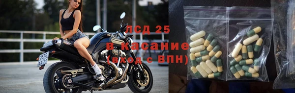 сатива Кодинск