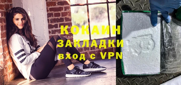 сатива Кодинск