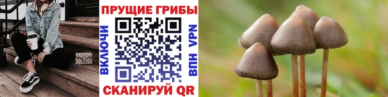 Галлюциногенные грибы Psilocybine cubensis  Кологрив 